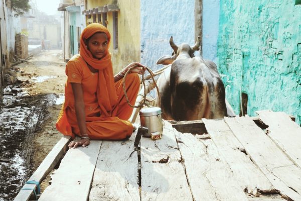 slums of india and a girl on a cart with a bull